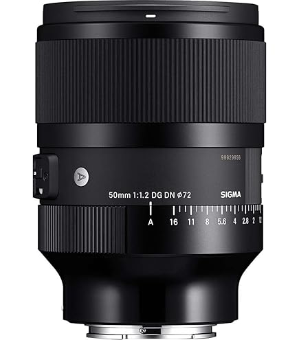 Amazon.com : 50mm F1.4 DG DN for Sony E : Electronics