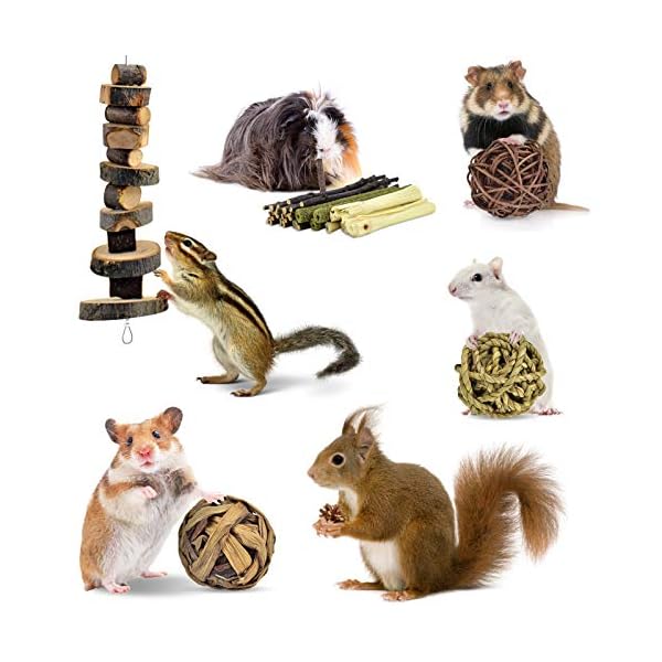 ERKOON-Rabbit-Toys-Hamster-Small-Animals-Treats-Bunny-Chinchilla-Chew-Toy-for-Teeth-Natural-Apple-Wood-Sticks-Boredom-Breaker-for-Guinea-Pigs-Chinchillas-Gerbils-Molar ERKOON Rabbit Toys, Hamster Small Animals Treats Bunny Chinchilla Chew Toy for Teeth Natural Apple Wood Sticks Boredom…