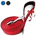 Dog Leash for Medium, Large and Small Dogs - 6 Foot Dog Leashes for Training and Daily Walks - Durable Sizes in Lightweight and Heavy Duty for Small and Large Breeds (1-Layer, Red)