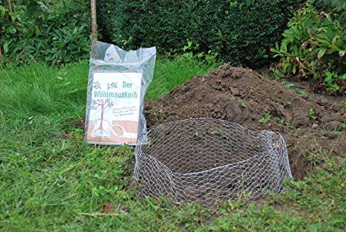 Wuehlmauskorb für Bäume, verzinkt – Bild 4