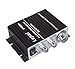 Lepai LP-2020A+ Tripath Class-T Hi-Fi Audio Mini Amplifier (power supply not included)
