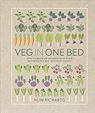 Veg in One Bed: How to Grow an Abundance of Food in