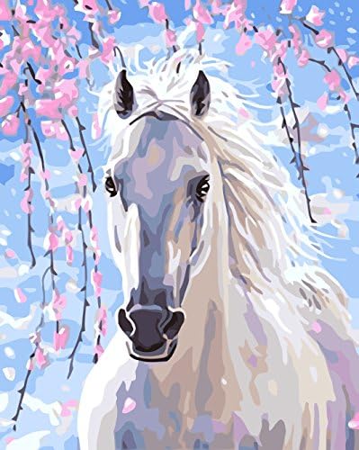 Diy Oil Painting, Paint by Number Kit for Kids, Students, Adults Beginner-16 by 20-Inch (White Horse, Framed Canvas)