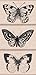 Hero Arts LP215 Wood Sets, Three Artistic Butterflies