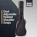 Bass Guitar Gig Bag by Hola! Music, Deluxe Series with 15mm Padding, Black