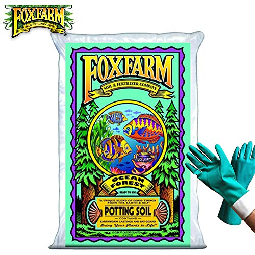 FoxFarm Ocean Forest Potting Soil Organic Mix Indoor Outdoor For Garden And Plants - Organic Plant Fertilizer - 38.5 Quart (1.5 cu ft). - (Bundled with Pearsons Protective Gloves) (1 Pack)