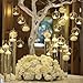 Sziqiqi 3.15inch Glass Globes Hanging Tea Light Holder Glass Terrarium Container Wedding Candle Holder Centerpiece Hanging Decoration Christmas Ornaments 20pcs+4 Extra