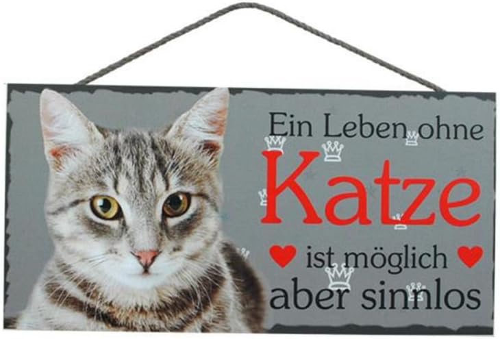 Türschild Katze (32) aus Holz Schild deutsche Herstellung: Amazon.de