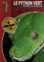 Le  python vert arboricole