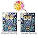 5D Diamond Painting Kits for Adults Full Drill- Diamond Art Kits for Beginners and Students with Adults' Paint-by-Number Kits for Wall Decoration, Gift, Relax (owl)