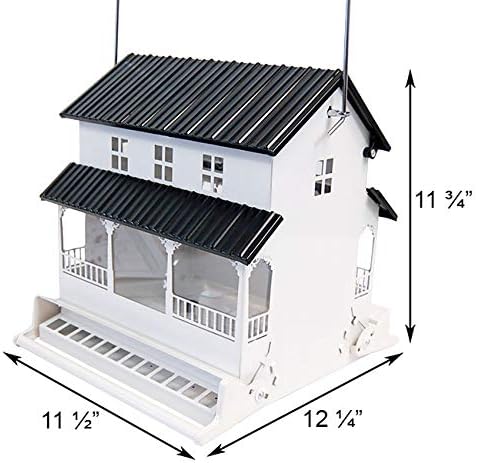Amazon Com Heritage Farms Farmhouse Style Absolute Squirrel