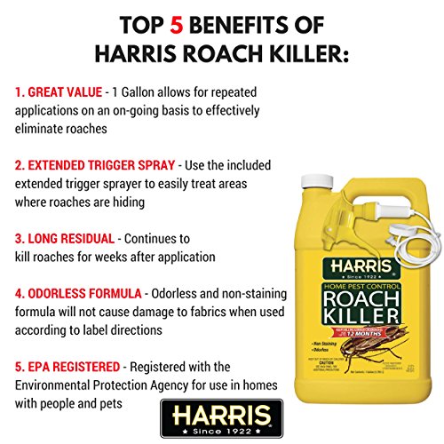 Top 10 Best Insecticides For German Roaches Top Reviews No Place