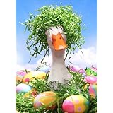 Duck w/Easter Grass Wig Funny Goose Easter Card