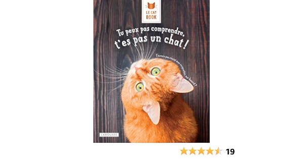 Le Cat Book Tu Peux Pas Comprendre T Es Pas Un Chat Tu Peux Pas Comprendre T Es Pas Un Chat Lemoine Aurelie Zabee Alice Lemoine Aurelie Zabee Alice Amazon Com Books