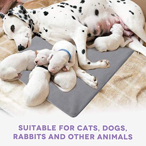 Pet Heating Pad for Cats Dogs,17.7''x27.6'' Soft Electric Blanket Auto Temperature Control Waterproof Indoor,Animal Bed Warmer House Heater Heated Floor Mat,Whelping Supply for Pregnant New Born Pet