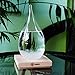 Storm Glass Weather Predictor -Weather Forecaster Weather Station Creative Crystal Glass Bottle Desktop Drops Craft Weather Station with Pure Wood Base -High Class Decoration on Home & Office (Large)