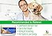 Elite Pet Nutrition Probiotic Supplement for Dogs Elite Dog Probiotics Powder Veterinarian Recommended - Eliminates Diarrhea, Gas, All Natural Non-GMO & Gluten Free - Free Bonus Made in The USA 8oz