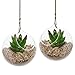 MyGift Clear Glass Hanging Terrarium Globe, Mini Decorative Air Plant Holder Set of 2