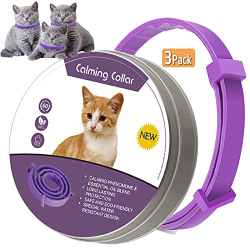 kitten calming collar