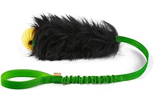 HOWGO Dog Rope Toy,Dog Bungee Chaser Toy 100% Sheepskin,Sheep Smell Tug Toy for All Breeds (Green, with Rubber Ball)