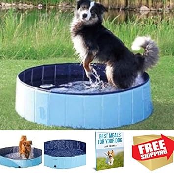 best kiddie pool for dogs