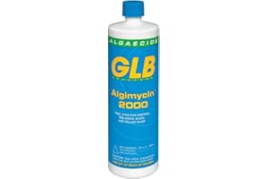 GLB 71104A-02 Algimycin 2000 Algaecide for Swimming Pools, 1-Quart, 2-Pack