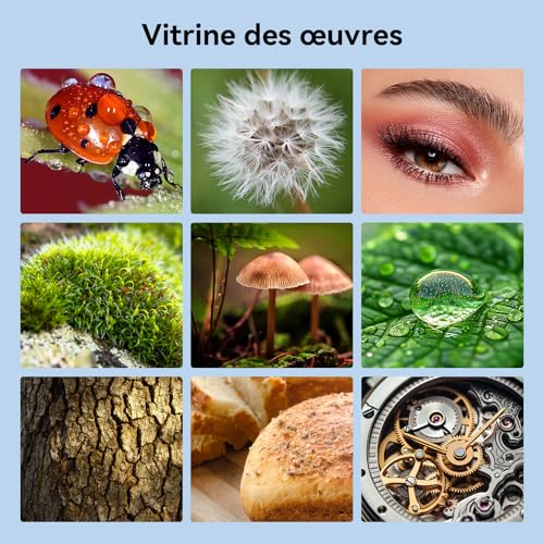 APEXEL HB100 Ultra Objectif Macro HD F1.05 45 Modes Lumière & Revêtement AF,Objectifs pour Téléphones Portables pour Smartphones iPhone, Samsung et Pixel