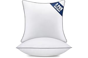 OKBA Throw Pillow Inserts Set of 2-Fluffy Square Cushions with 100% Cotton Covers-Decorative White Pillow Fillers for Sofa, Bed, Couch, Living Room, Indoor Hotel Pillows (18x18 Inch (Pack of 2)-Blue Edge)