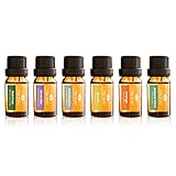 Nu Yuu Top 6 100% Pure Therapeutic Grade Essential Oil Set 10 ML (6-Pack: Lavender, Tea Tree, Eucalyptus, Lemon, Orange, Peppermint)