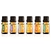 Nu Yuu Top 6 100% Pure Therapeutic Grade Essential Oil Set 10 ML (6-Pack: Lavender, Tea Tree, Eucalyptus, Lemon, Orange, Peppermint)