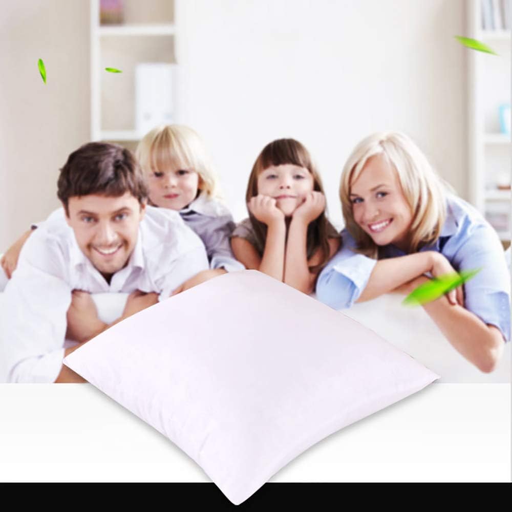 Coussins Blanc Dimension 45x45 Cm Ivyshion Lot De 2 Coussins De Garnissage Coussin Interieur En Fibre Creuse 100 Polyester Coussin A Recouvrir Cuisine Maison Groupisd Com