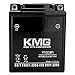 Battery Compatible with Yamaha 1987-2003 YFM350X Warrior YT12C Sealed Maintenance Free Battery 12V Powersport Motorcycle Scooter ATV