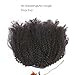 Anrosa Kinky Curly Ponytail 4C Afro Ponytail for Natural Hair Curly Ponytail Piece Kinkys Curly Drawstring Kinky Coily Ponytail Clip in Ponytail Extension for Black Women 10 Inch