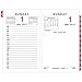 AT-A-GLANCE Daily Calendar 2017 Refill, 3-1/2 x 6