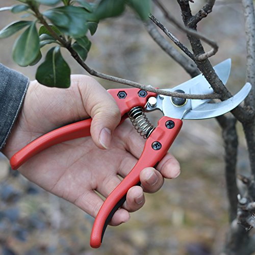 GARTOL Gardening Bypass Hand PrunersPruning Shears Scissors Perfect