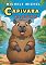 Livro Capivara Alegre