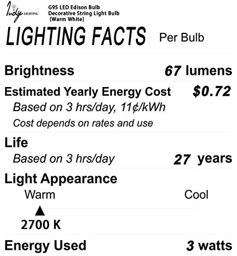 Judy Lighting - G95 LED Edison Bulb Decorative String Light Bulb (Warm White)