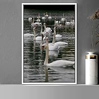 Framed Canvas Wall Art Group of Birds Beach Birds Expressive Group Multicolor Photography - 16x24 inches