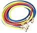 Robinair (30060) 1/4" Standard Hoses with Standard Fittings Set - 60", Set of 3 primary