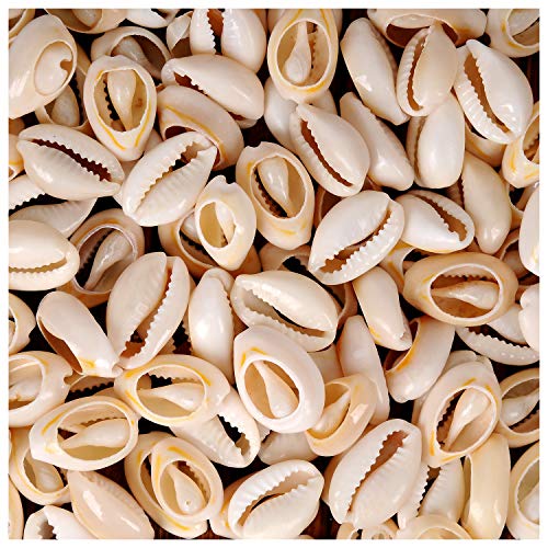 YUEAON 100pcs Natural Spiral Shell Beads Sea Shells Beach Seashells Cowrie Shells Charms and Beads for DIY Craft Jewelry Making Accessories (16~18mm)