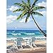 MXJSUA 5D DIY Diamond Painting Kit by Number Full Drill Round Beads Crystal Rhinestone Picture Supplies Arts Craft Wall Sticker Decor-Coco Seagull Beach 12x16in