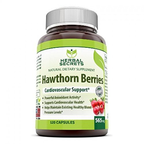 Herbal Secrets 100% Pure Hawthorn Berries Capsules- Antioxidant Properties- 565 mg All Herbal Capsules - 120 Capsules Per Bottle