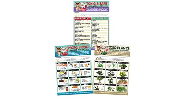 Juego de 3 herramientas de seguridad TOXIC y seguras, plantas ...