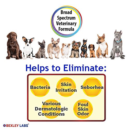 Curaseb Chlorhexidine 4% Shampoo for Dogs & Cats - Antibacterial & Antimicrobial Medicated Shampoo - - //medicalbooks.filipinodoctors.org