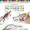 Veterinary Anatomy Coloring Book: Amazon.co.uk: Saunders: 9781455776849