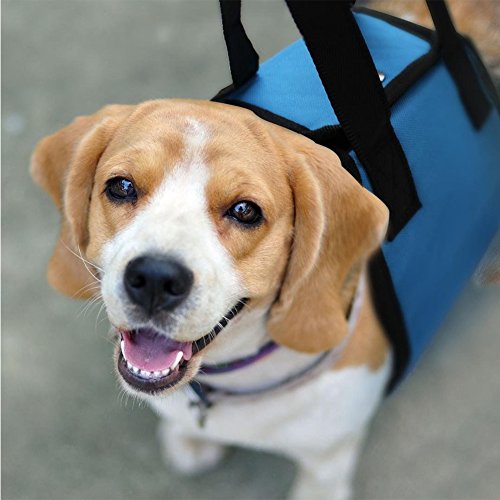 Paercute Lift Harness - Adjustable Support Sling Straps Help with Loss of Stability Stand Up, Walk, Climb Stairs and Hop into Car. - Thumbnail 7