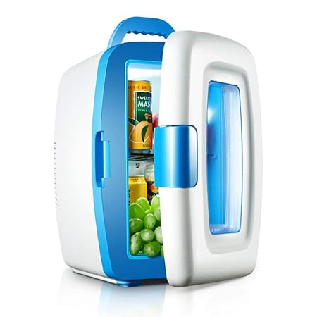 A-Nice Mini refrigerador para Autos 10L 12V / 220V Refrigerador y ...