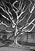 Henry Wessel: Traffic/Sunset Park/Continental Divide