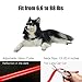 ZIYOR Dog Training Collar Shock Collar, 100% Waterproof and Rechargeable 850 yd Remote Dog Training Collar with Beep, Vibra and No Harm Shock Electric Collar for Small Medium Large Dogs