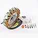 RaceTech Electric Replacement for Stator Suzuki LT-R LTR 450 Quadracer Z 2006-2009 | OEM Repl.# 32101-45G00 32101-45G10